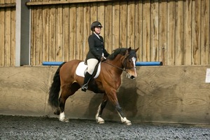 Isis Dressage Crown Farm Show 29th April 2012